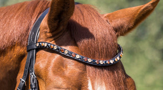 Browband Classic