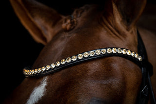 Classic XL frontriem Golden Shadow