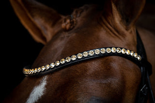 Classic XL Browband Golden Shadow