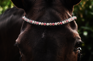 Classic XL frontriem Pink Paradise