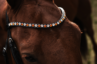 Classic XL Browband Tangerine