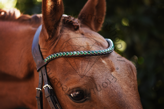 Classic XL Browband Emerald