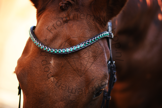 Classic XL Browband Emerald