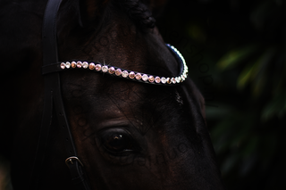 Classic XL Browband Perfect Vintage