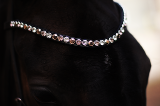Classic XL Browband Perfect Vintage