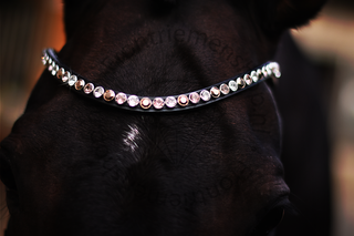 Classic XL Browband Perfect Vintage