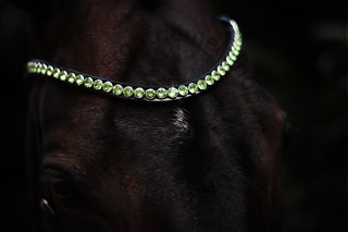 Classic XL frontriem Peridot
