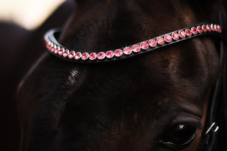 Classic XL frontriem Pink Perfect