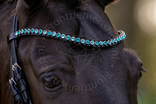 Classic XL frontriem Light Turqoise / Blue Zircon
