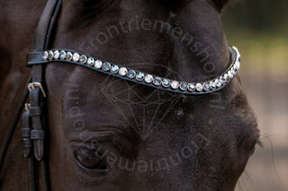 Classic XL frontriem Silver Shade