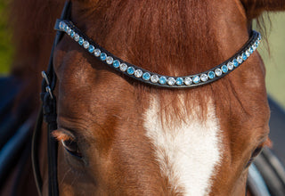 Classic XL frontriem Aquamarine