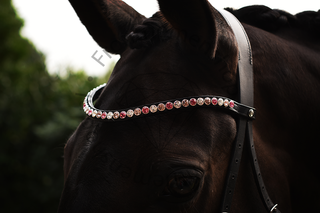 Classic XL Browband Pink Paradise