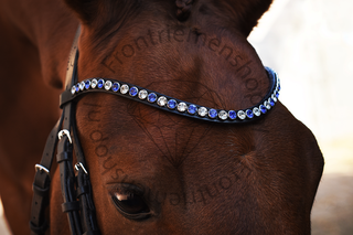 Classic XL Browband Perfect Sapphire