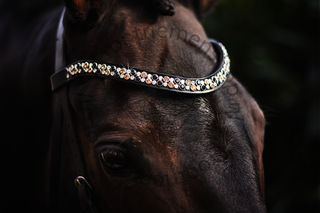 Deluxe Browband Jet