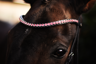 Classic XL Browband Pink Perfect