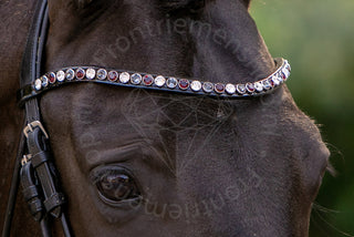Classic XL Browband Siam