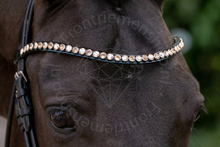 Classic XL Browband Golden Touch