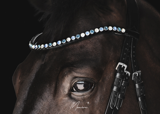 Classic XL Browband Classic Blue